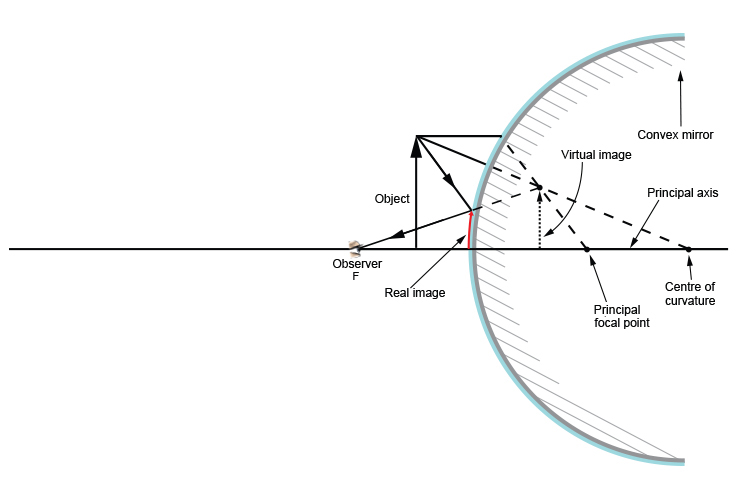 Ray diagram when the observer is at F and the object is between F and the convex mirror